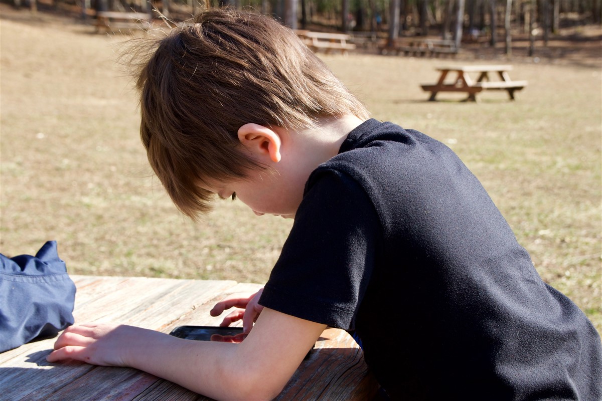 application et curiosité enfant